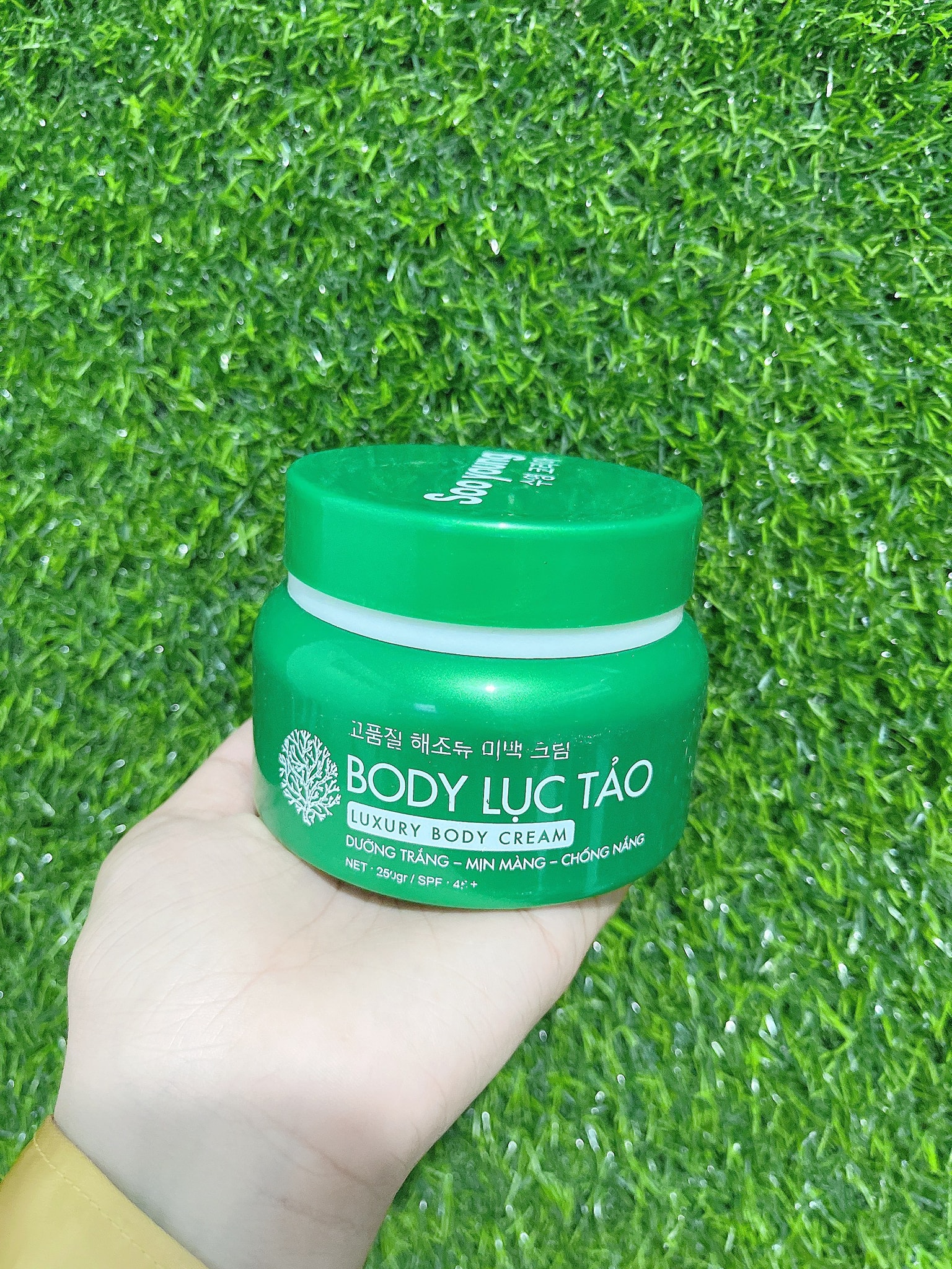 Body Soo Young Lục Tảo Body Soo Young Lục Tảo