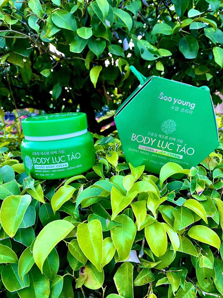 Body Soo Young Lục Tảo Body Soo Young Lục Tảo