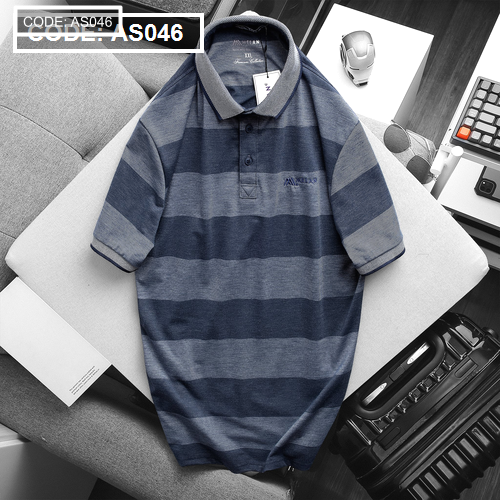 16531_16531-z3370059472998-2d42078316f93b46e824e38653a232d3_20250930204346-1.png Áo Thun Polo Sọc Nam Tay Ngắn - AS046