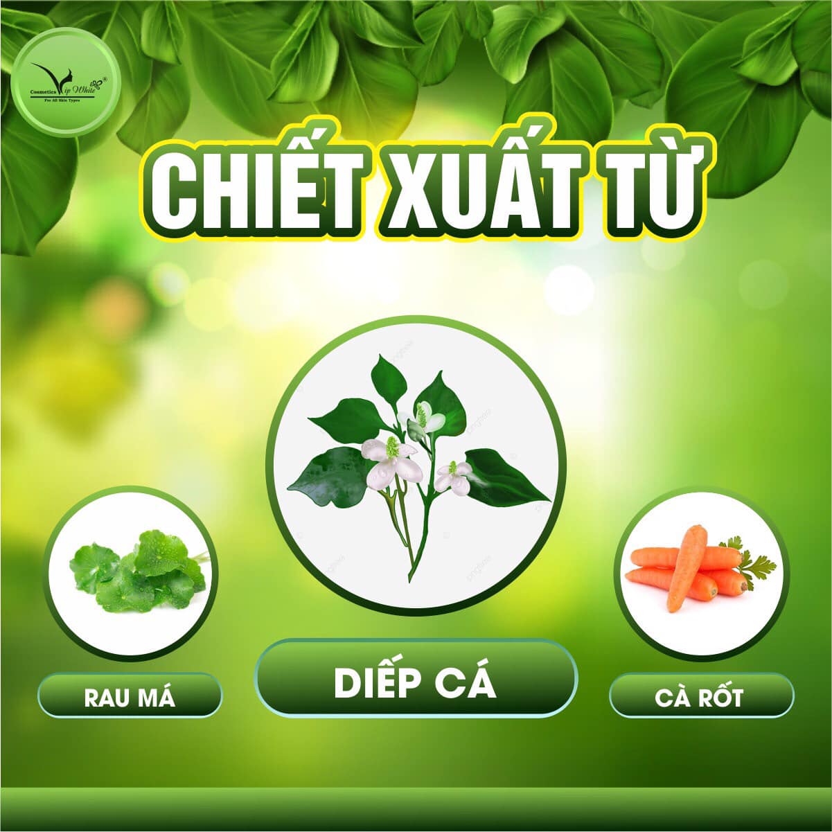 17758-306454959-2308955285939438-8775681152749652569-n-9.jpg Sữa Rửa Mặt Rau Củ VIP White - 8938521762294