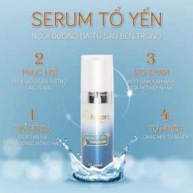 Serum Tổ Yến N Collagen Phục Hồi Da Ngăn Ngừa Lão hóa