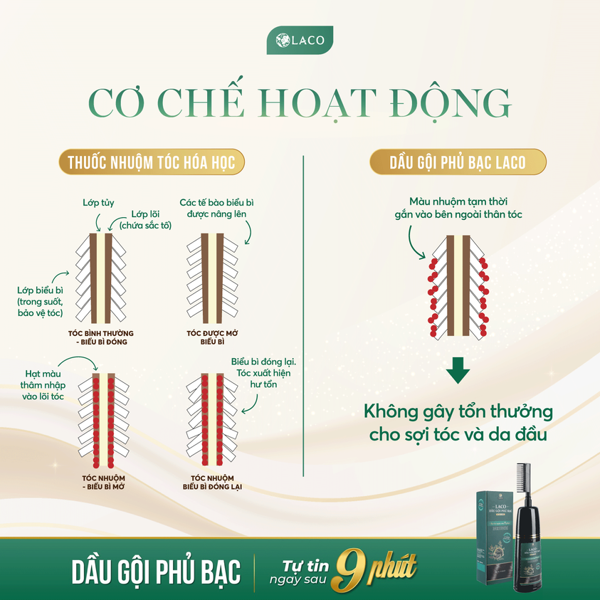 Dầu Gội Phủ Bạc Laco Màu Đen