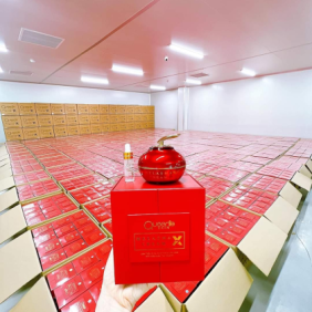 Kem Face Huyết Nám Queenie Skin Melasma Cream X2