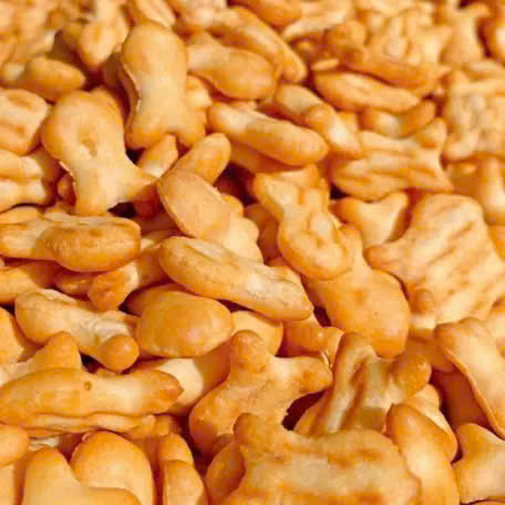 Chuyên sỉ bánh Quy Cá Vị Bơ Sữa Thơm Ngon 250g Hộp Chuyên sỉ bánh Quy Cá Vị Bơ Sữa Thơm Ngon 250g Hộp