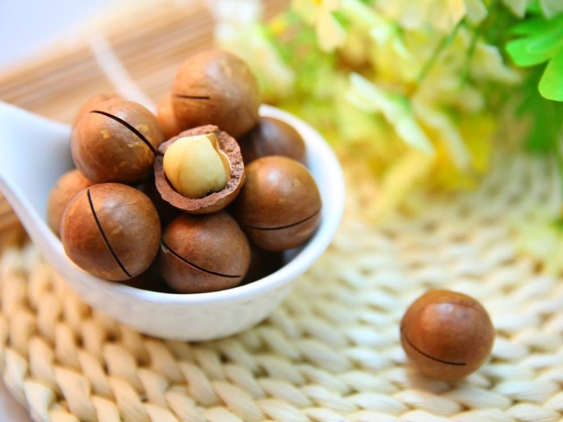 22997_hinh-anh-hat-macca_20241114103959-3.jpg Hộp Quà Tết Hạt Macca Tây Nguyên 400g - Hộp Sun Khía Hộp Quà Tết 2026 - MACCAHK