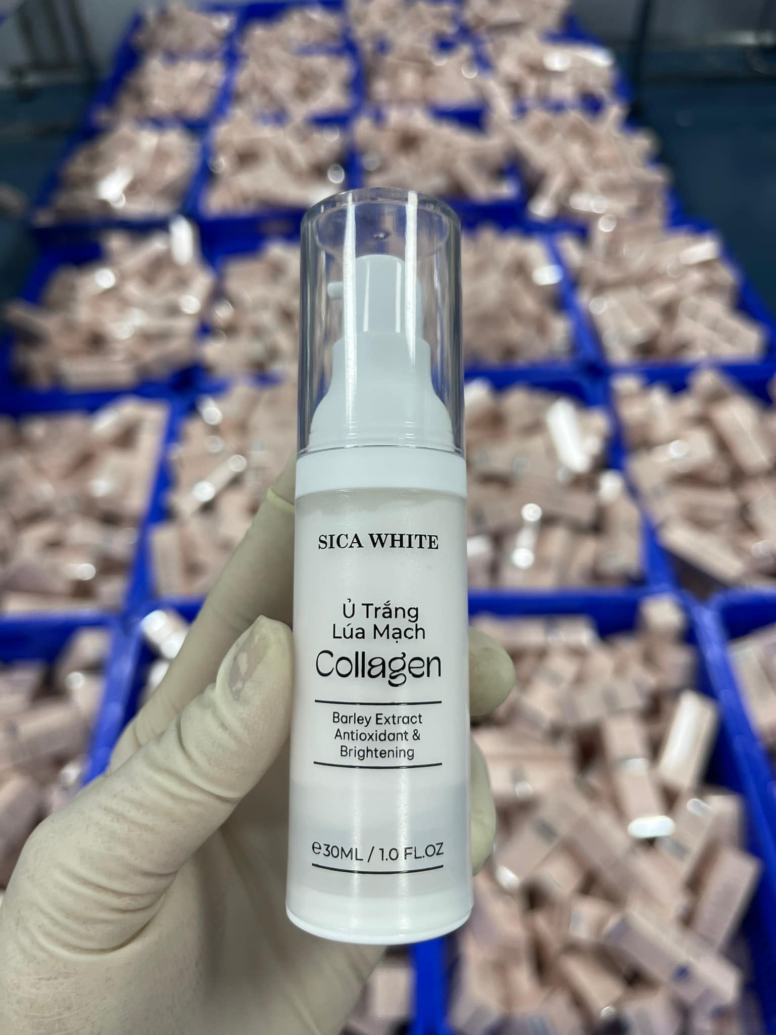 24777_452867670-519695270814410-1524072821325389990-n_20240803161142-2.jpg Kem Ủ Trắng Lúa Mạch Collagen Sica White - 8936226110334