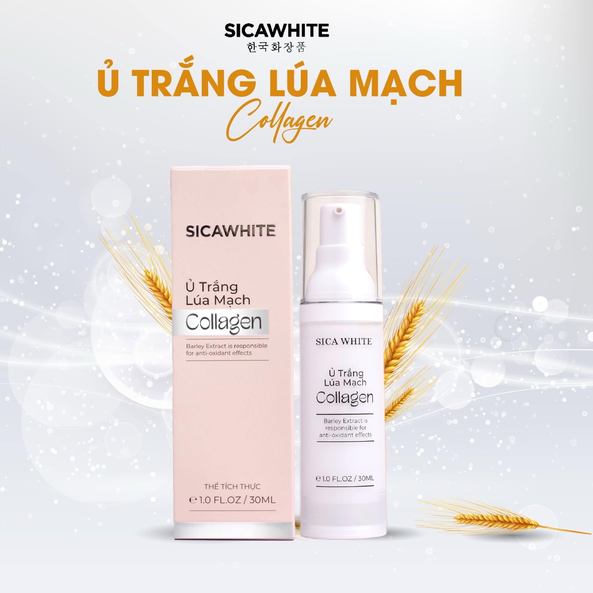 Giá sỉ kem Ủ Trắng Lúa Mạch Collagen Sica White Giá sỉ kem Ủ Trắng Lúa Mạch Collagen Sica White