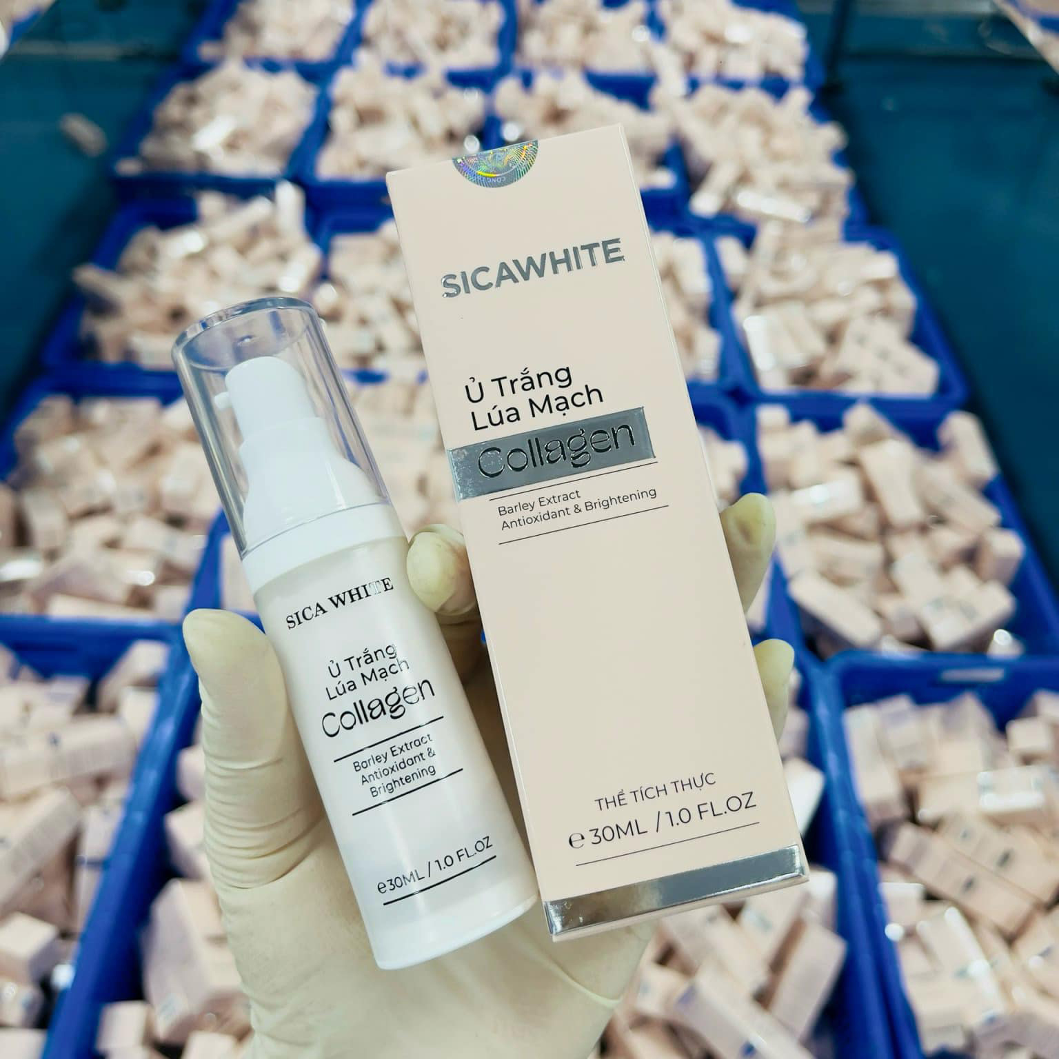 24777_featured_452955951-519695314147739-1992038469912767237-n_20240803161140 Kem Ủ Trắng Lúa Mạch Collagen Sica White