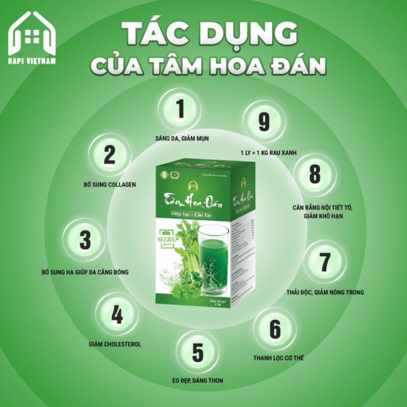Shop sỉ diệp Lục Cần Tây Tâm Hoa Đán Hộp 15 Gói Shop sỉ diệp Lục Cần Tây Tâm Hoa Đán Hộp 15 Gói