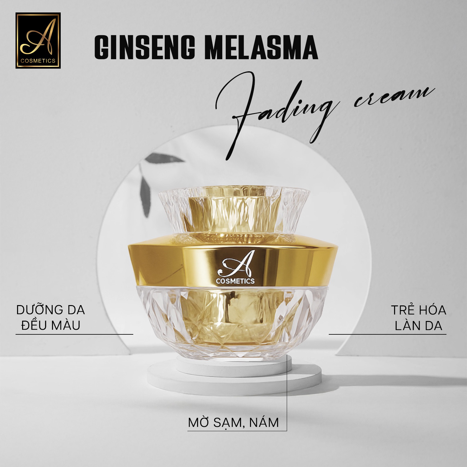 Bỏ sỉ kem Face Nám Nhân Sâm Ginseng Melasma A Cosmetics 2024 Mỹ Phẩm Phương Anh