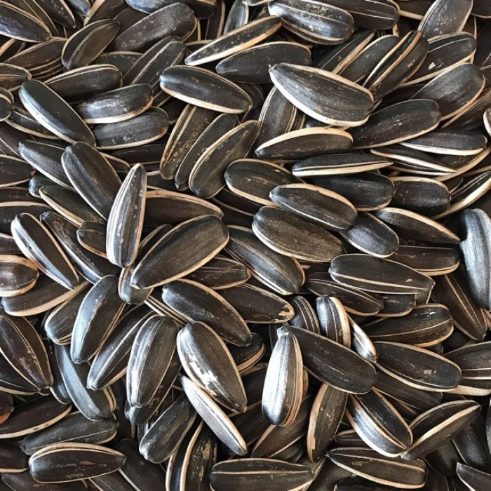 Set Hộp Mix Hạt 3 Vị (Hạt Dưa, Hạt Hướng Dương, Hạt Bí Trắng) Sun Khía 3 Ngăn 300G Hộp Tết Set Hộp Mix Hạt 3 Vị (Hạt Dưa, Hạt Hướng Dương, Hạt Bí Trắng) Sun Khía 3 Ngăn 300G Hộp Tết