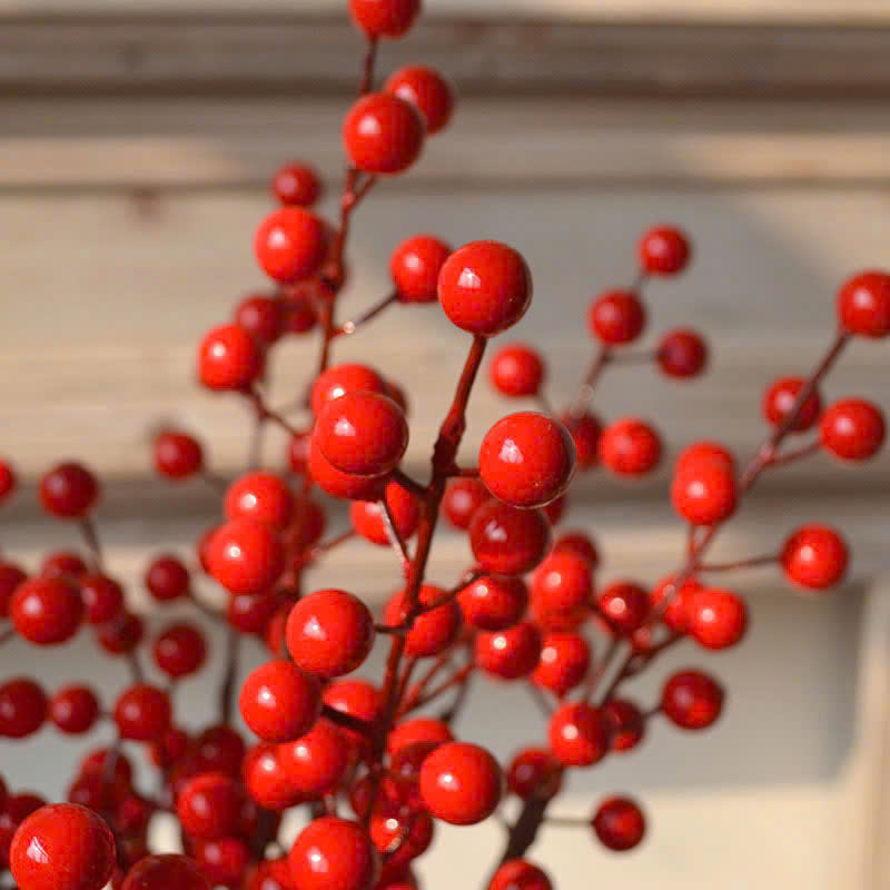 1 Cành Đông Đào 12 Nhánh Trái Mọng Đỏ Dài 90cm 1 Cành Đông Đào 12 Nhánh Trái Mọng Đỏ Dài 90cm