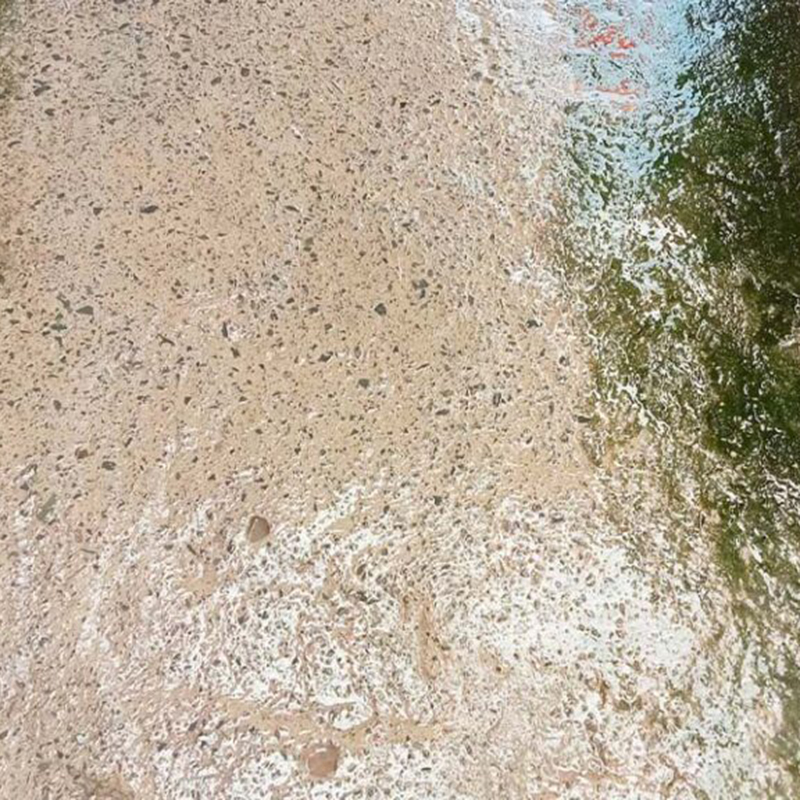 Shop sỉ bột Tẩy Rong Rêu Chống Trơn Trượt Sân Vườn Hiệu Quả 400g Shop sỉ bột Tẩy Rong Rêu Chống Trơn Trượt Sân Vườn Hiệu Quả 400g