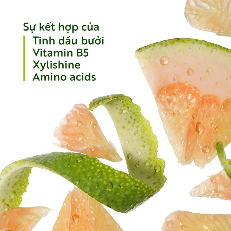 Combo Dầu Gội Xả Bưởi Cocoon - Dầu Gội Bưởi Cocoon Pomelo Shampoo 500ml Và Dầu Xả Bưởi Cocoon Pomelo Hair Conditioner 310ml