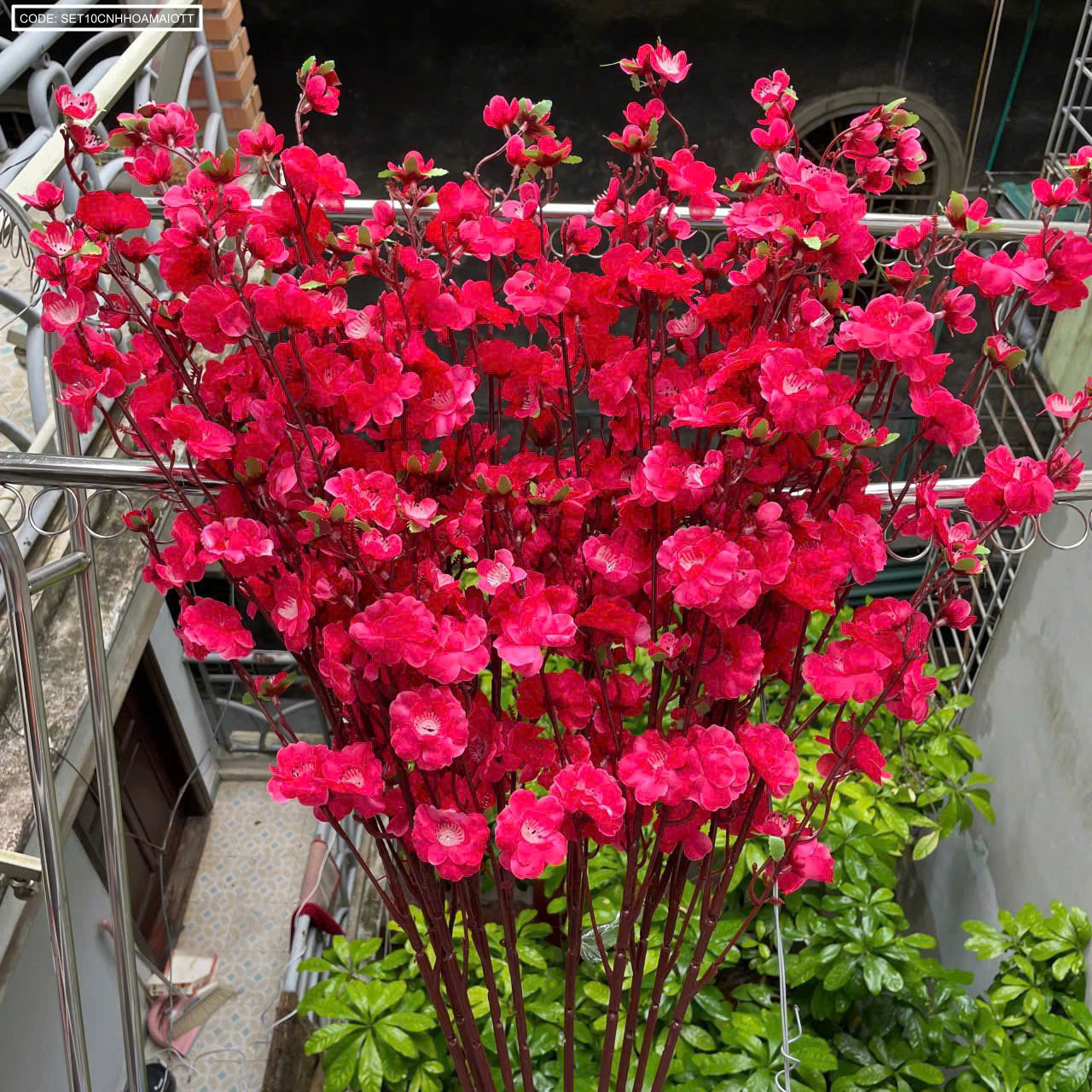 Set 10 CÀNH HOA MAI - ĐÀO TẾT Set 10 CÀNH HOA MAI - ĐÀO TẾT