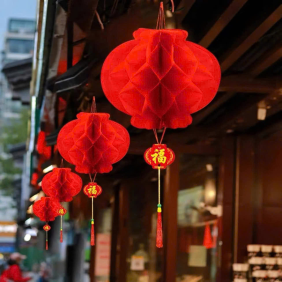 1 Bịt 10 LỒNG ĐÈN GIẤY ( F30 / 25CM ) - 1BT10LNG