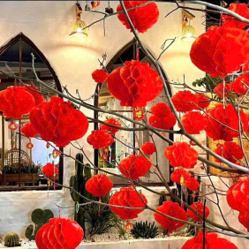 Combo 50c (5 Bịt) - mỗi bịt 10 LỒNG ĐÈN GIẤY (F20 / 15CM ) - COMBO50C025BT