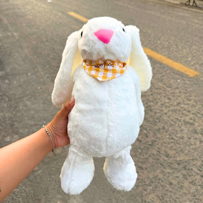 Thỏ Bông Trắng Mềm Mịn Dễ Thương Ngọt Ngào Thỏ Bông Trắng Mềm Mịn Dễ Thương Ngọt Ngào