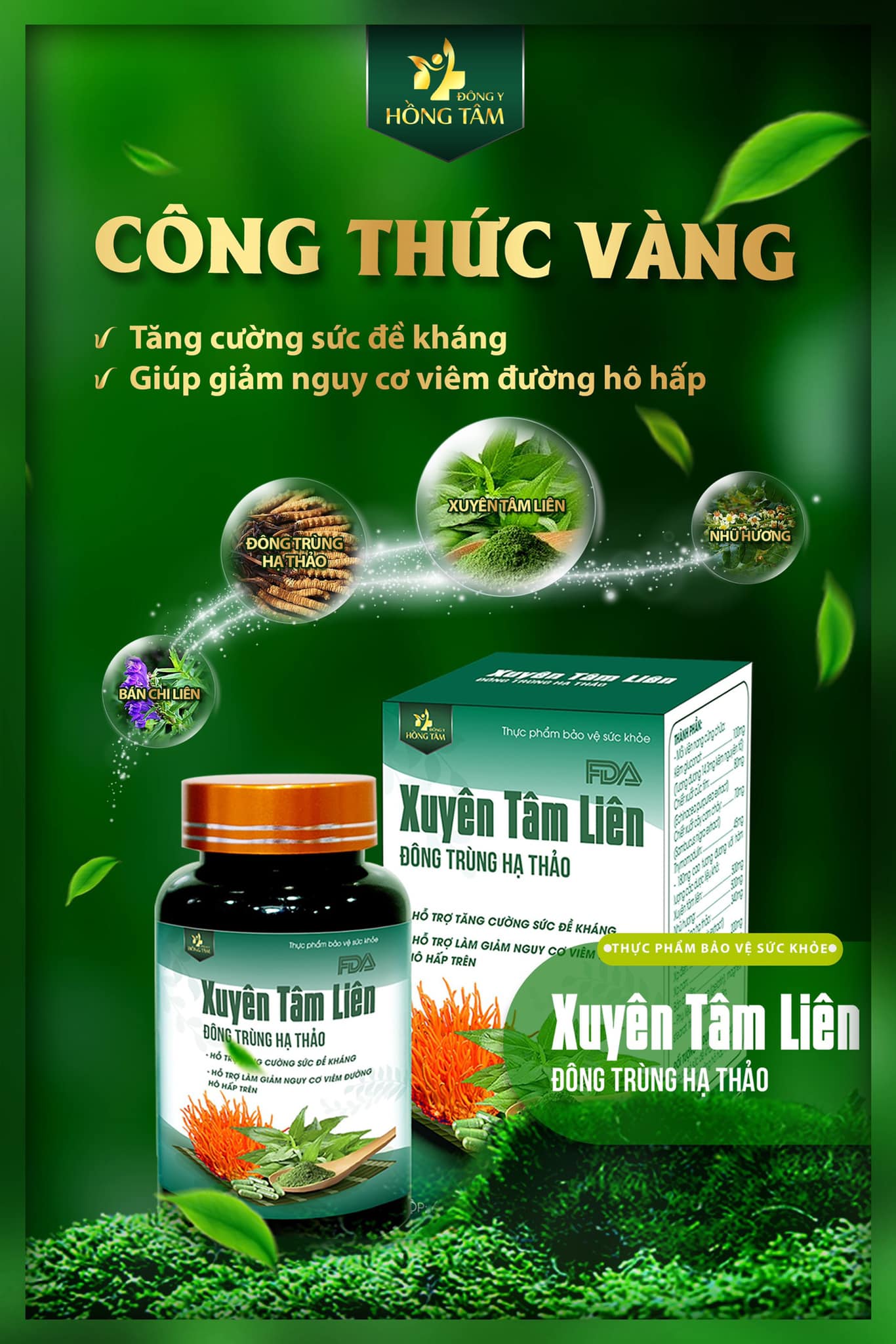 Xuyên tâm liên là từ khóa đc tìm kiếm nhiều nhất hiện nay