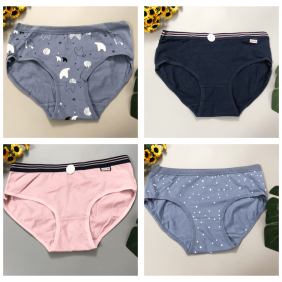 Bán buôn quần lót nữ thun cotton kute