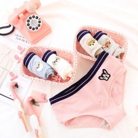 Combo 10 quần lót nữ thêu hình con cúm hàng quảng châu