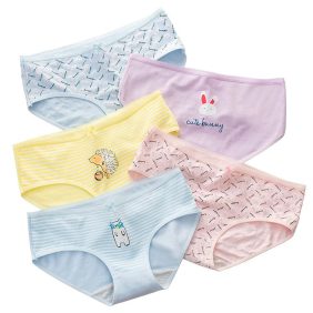 Quần lót nữ thun cotton quảng châu