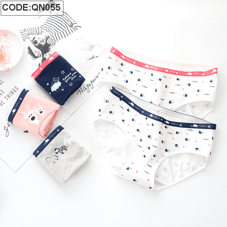 Sỉ quần lót nữ quảng châu cao cấp