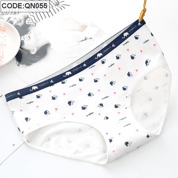 Sỉ quần lót nữ quảng châu cao cấp