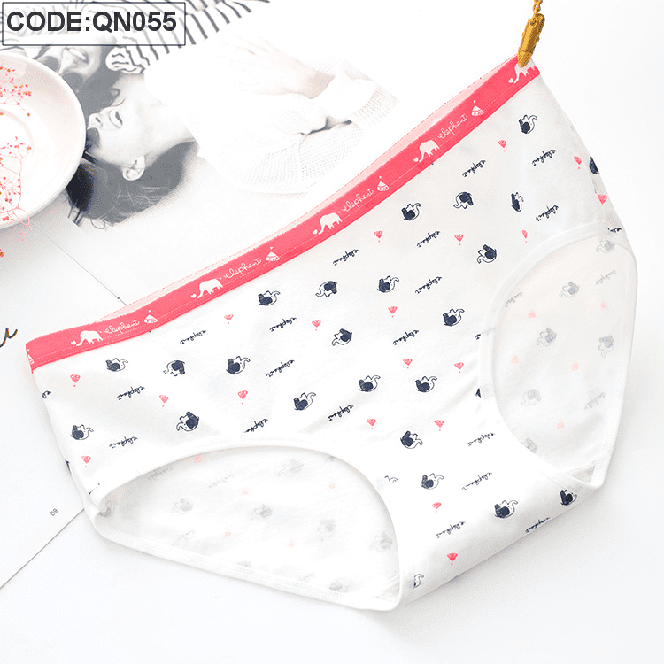 Sỉ quần lót nữ quảng châu cao cấp