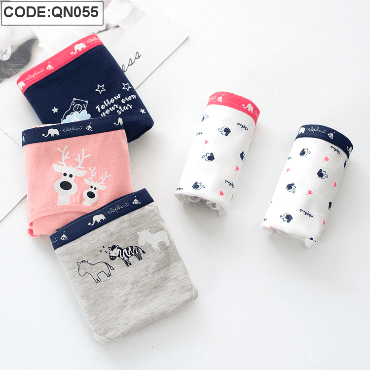 Sỉ quần lót nữ quảng châu cao cấp