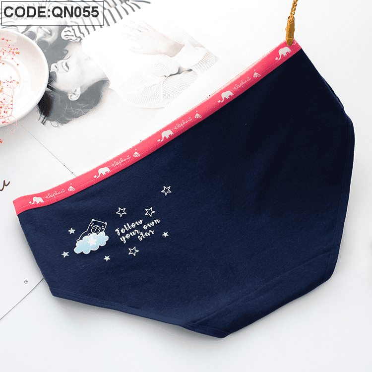 Sỉ quần lót nữ quảng châu cao cấp