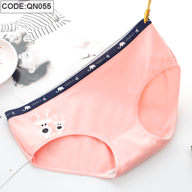 Sỉ quần lót nữ quảng châu cao cấp