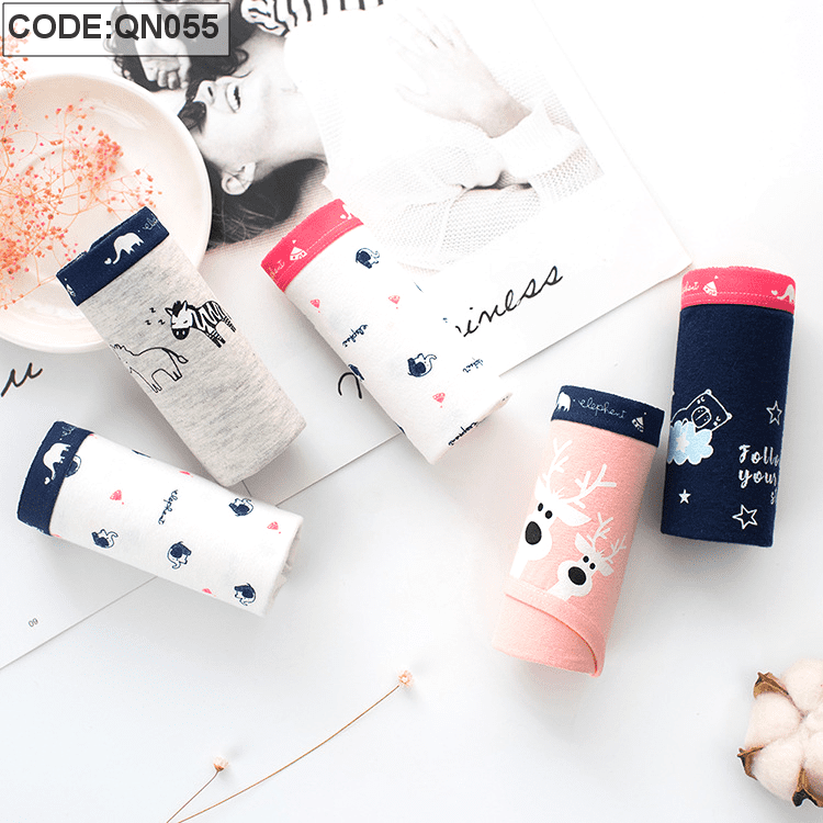 Sỉ quần lót nữ quảng châu cao cấp