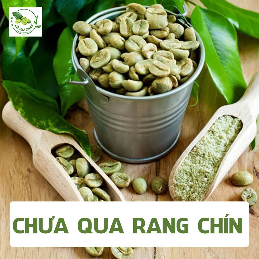 Cà phê Xanh có gì khác so với các loại cà phê thông thường?