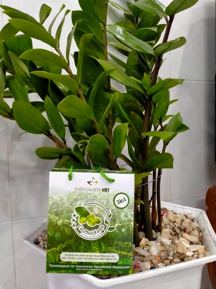 Cách có vóc dáng thon gọn với 2 gói cà phê Xanh mỗi ngày