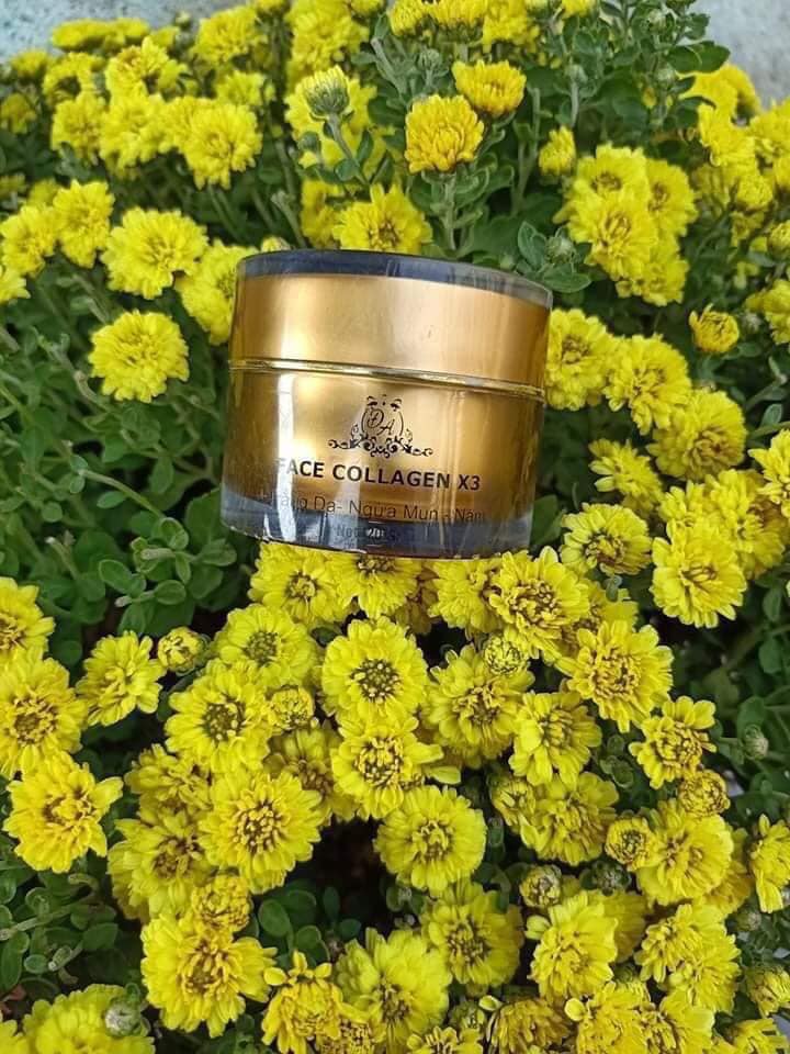 Nhà phân phối mỹ phẩm KEM FACE COLLAGEN X3 của cty Đông Anh