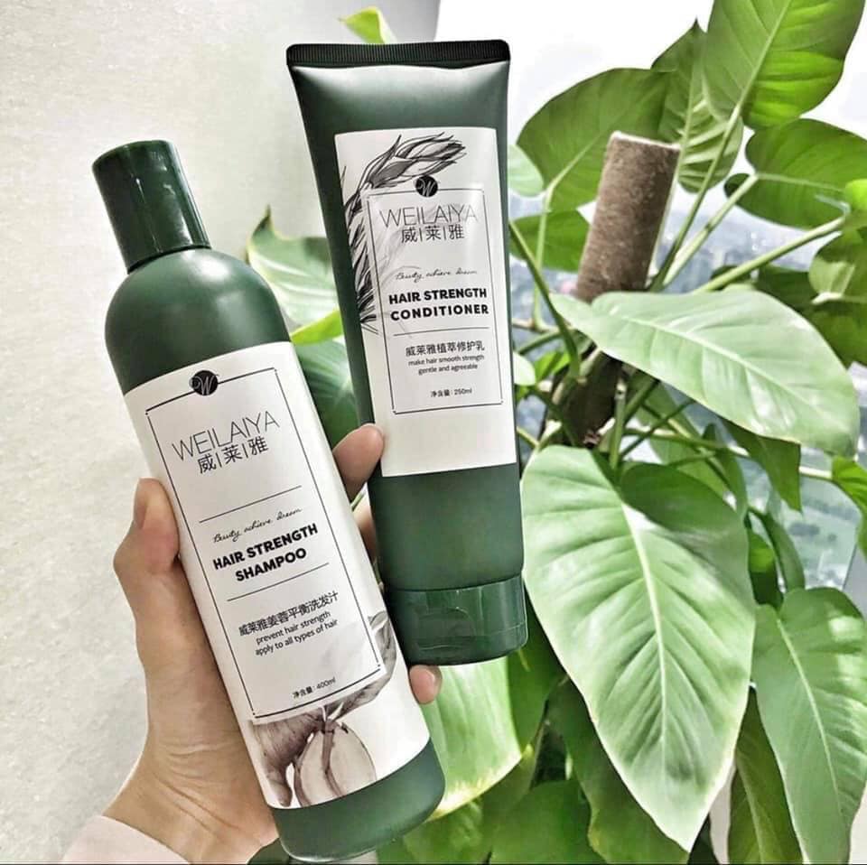 Combo bộ dầu gội xả Weilaiya mọc tóc chiết xuất gừng xả