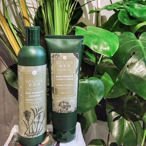 Combo dầu gội xả gừng hà thủ ô Weilaiya chính hãng