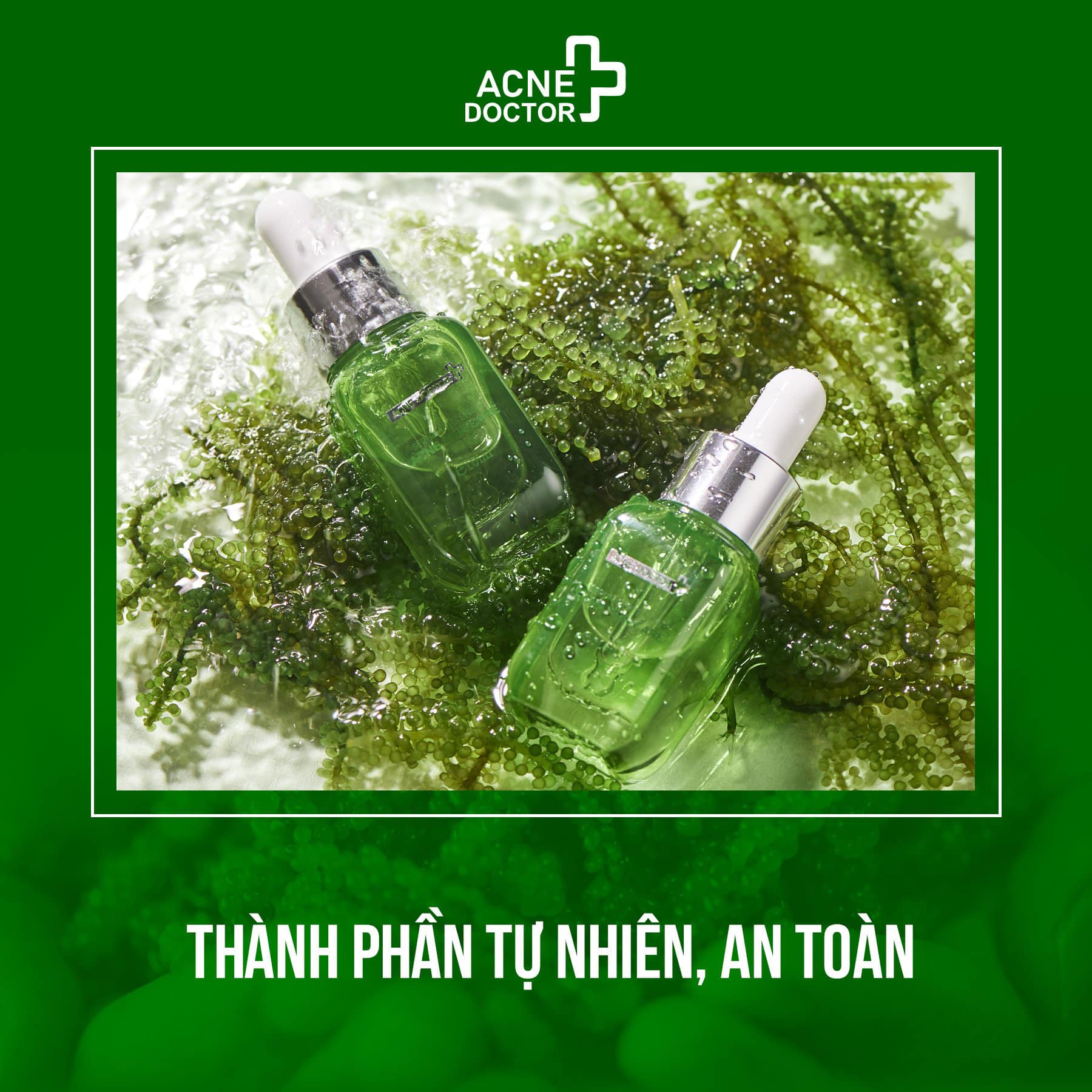 Serum trị mụn Sea Bzapes rong nho Acne Doctor chính hãng