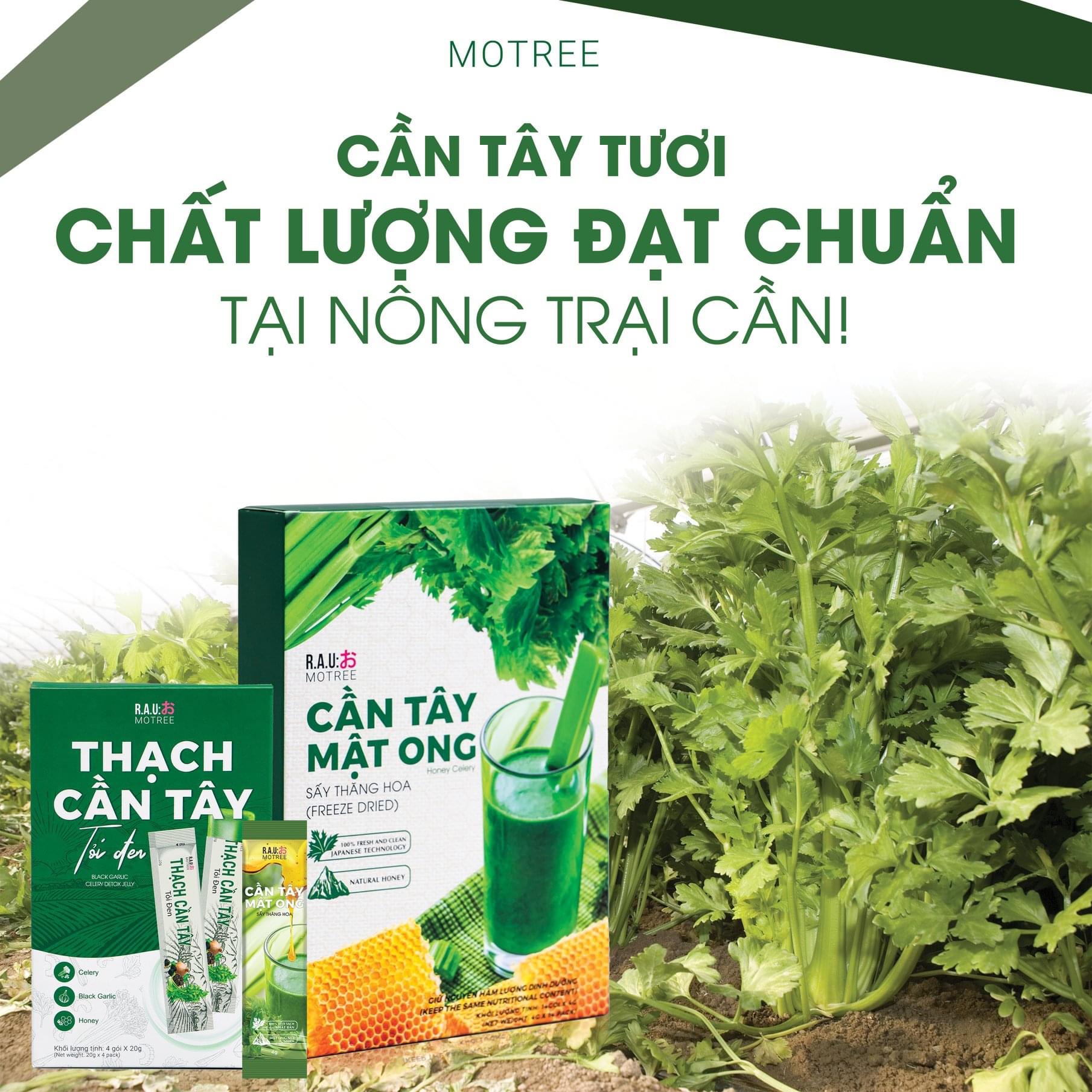 Mua 3 Cần tây Mật Ong tặng 1 thạch cần tây tỏi đen