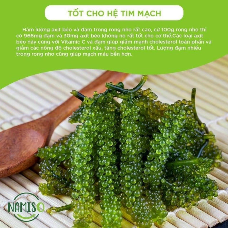 Bổ sung năng lượng mùa hè cùng rong nho NAMISO