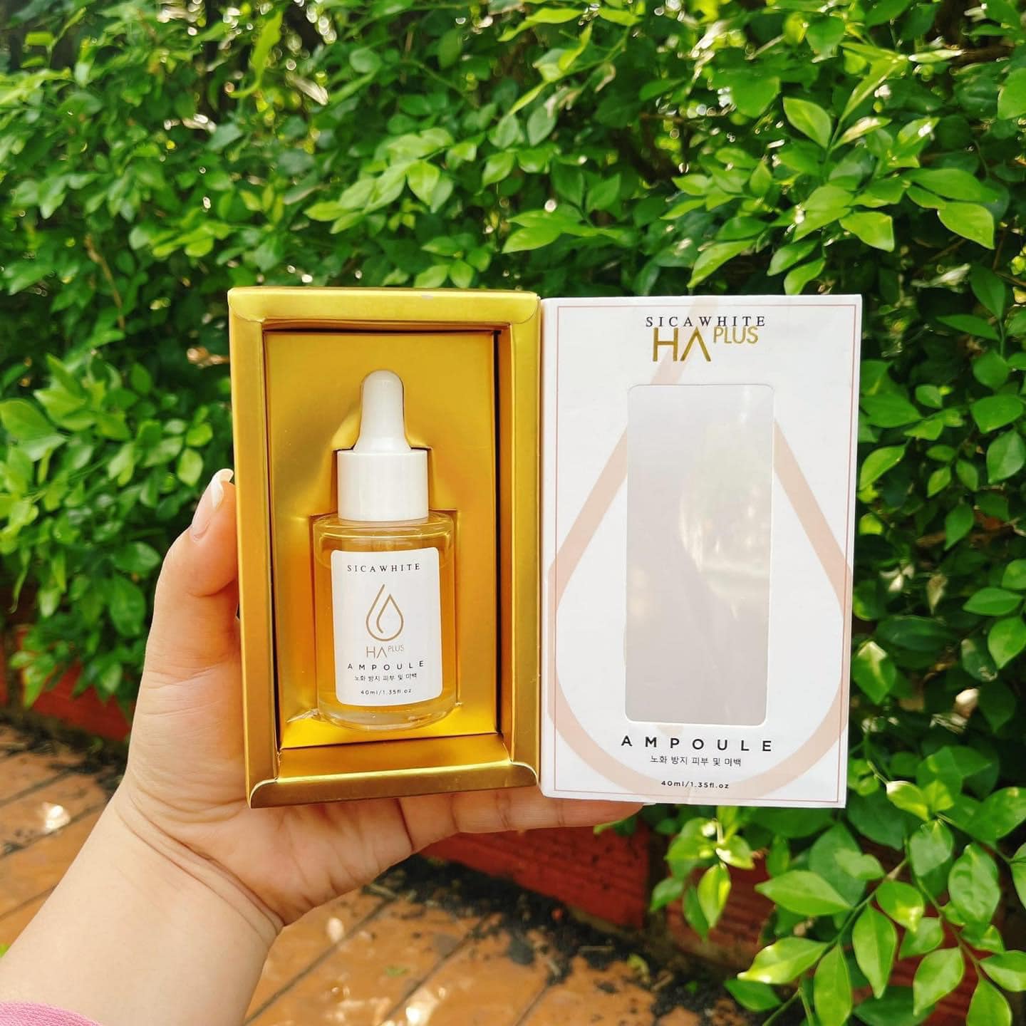 Buổi sáng mà không thoa Serum Ampoule HA SiCa White thì thật sự có lỗi với làn da