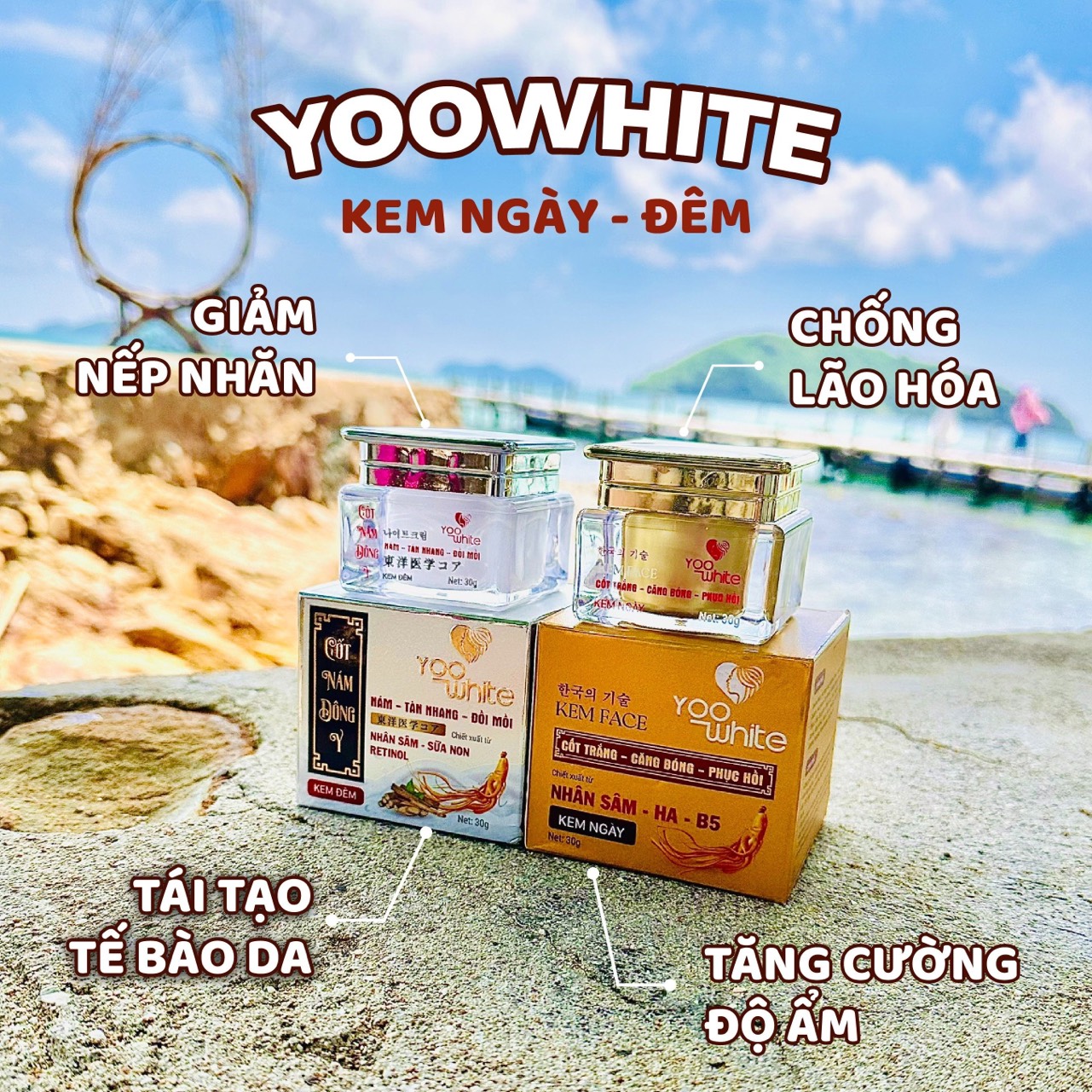 Kem Face cốt nám đông y Yoo White