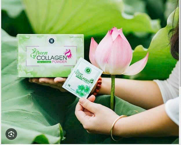 Diệp Lục Collagen Green Powder